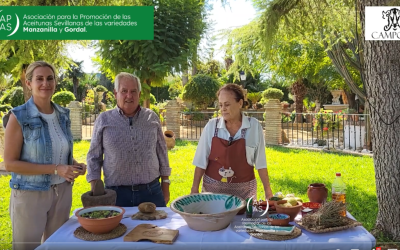 Cómo Aliñar Aceitunas Gordales: Receta Tradicional Sevillana Paso a Paso