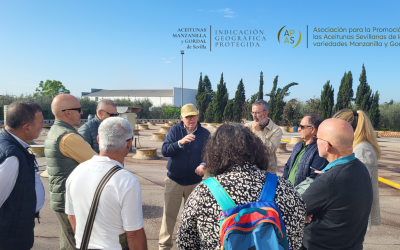 Turismo Gastronómico con las IGP Aceitunas Manzanilla y Gordal de Sevilla