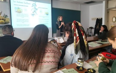 Formación y futuro del sector olivarero: Jornada de las IGP Aceituna Gordal de Sevilla en la Universidad de Córdoba